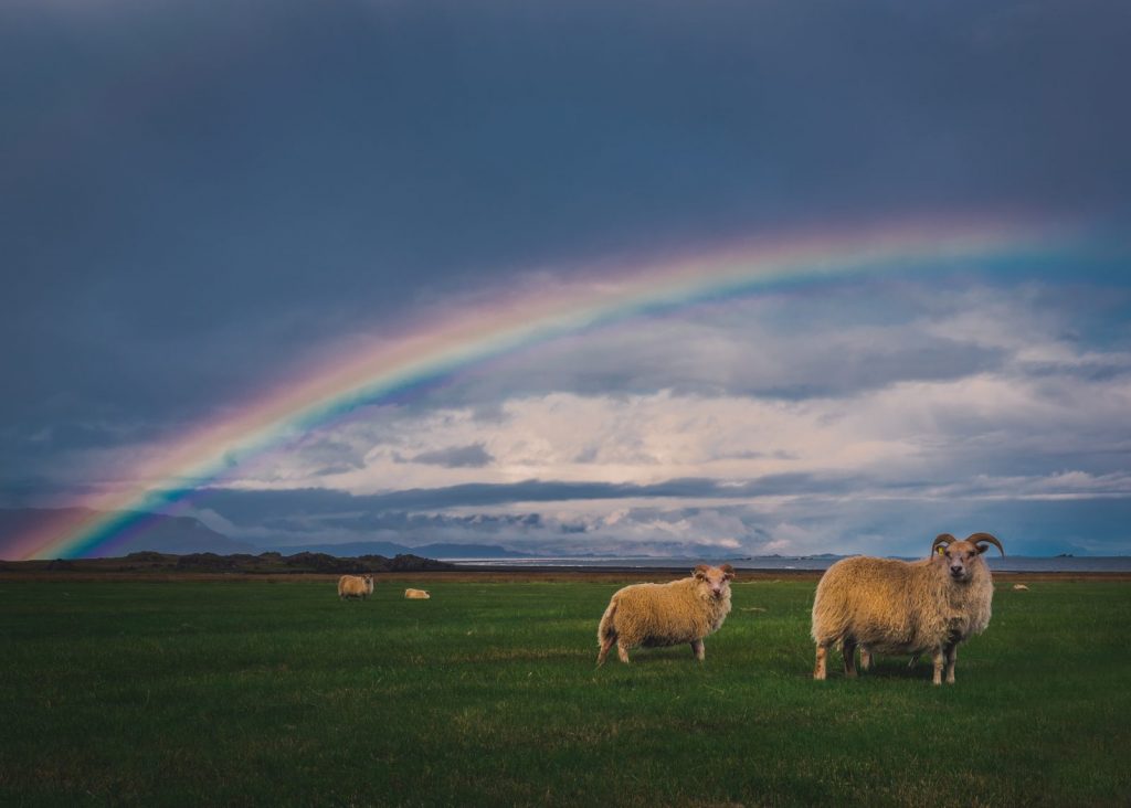 God's Promise